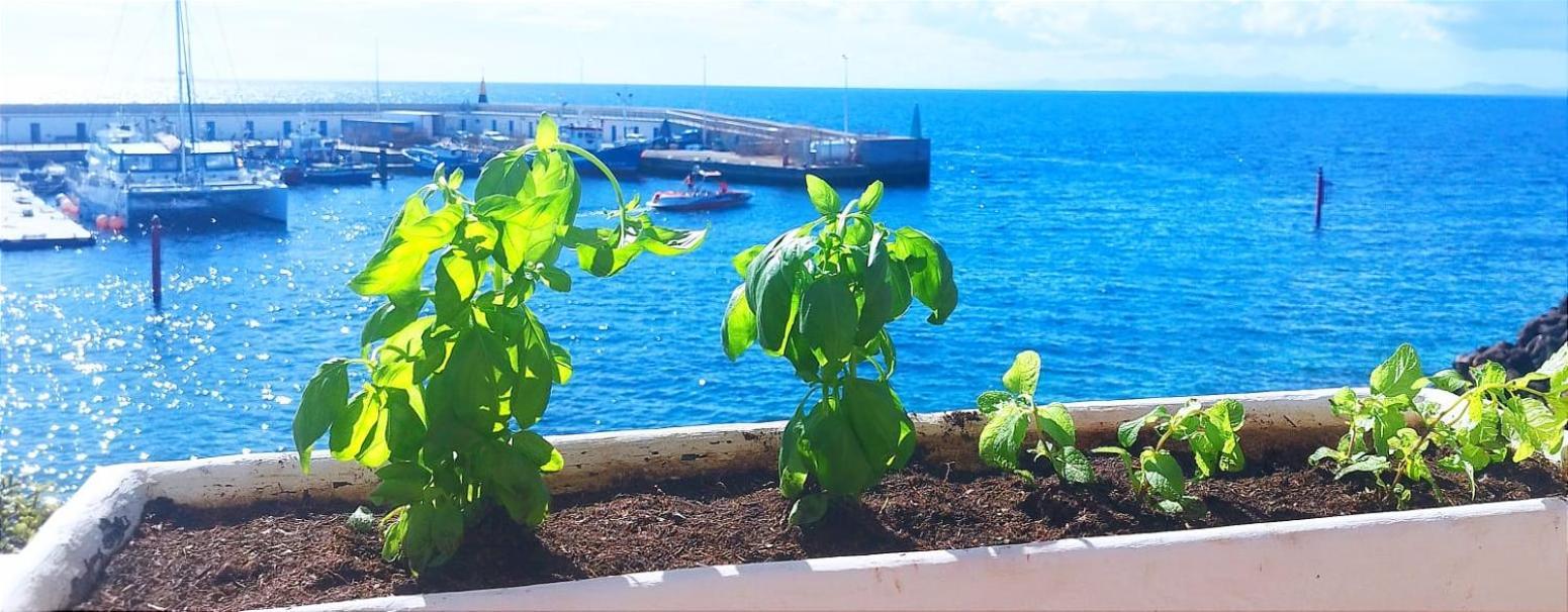 Buena Pesca 7 Apartment Puerto del Carmen  Ngoại thất bức ảnh